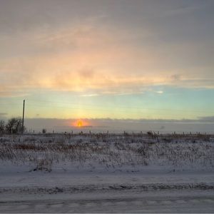 Meet your Posher, Tatum